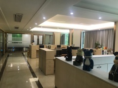 湛江網絡科技 盈動立足本土，智啟未來新篇章
